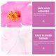 thumbnail image 3 of AURARMLET 25Ud Hibiscos Falsos Decorativos Rosa Para Uso En Bodas Y Celebraciones Interiores, 3 of 5