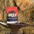 thumbnail image 4 of Suplemento equino Formula 707 Hoof Health 4,5 kg, 4 of 7
