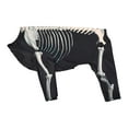thumbnail image 1 of Disfraz de perro esqueleto de Halloween Fernando ropa de disfraz mascota 2XL, 1 of 8