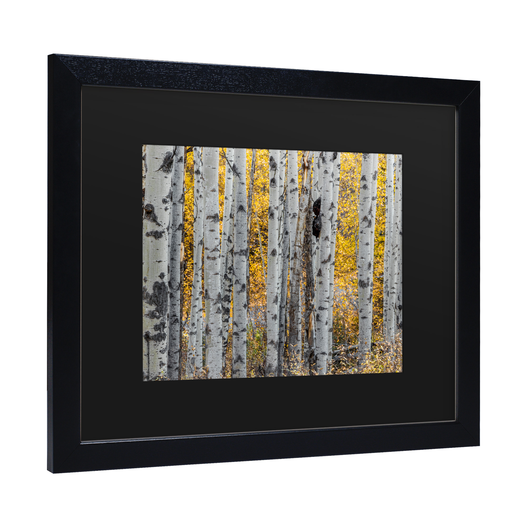 Trademark Fine Art 'Aspen Trees' Canvas Art by Pierre Leclerc