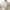 Green, variant on Savings Full Coverage No Underwire Bras for Women Fashion Floral Lace Wider Straps Push Up Soft Wireless Comfort Bra (XL, Purple), Summer July Deals