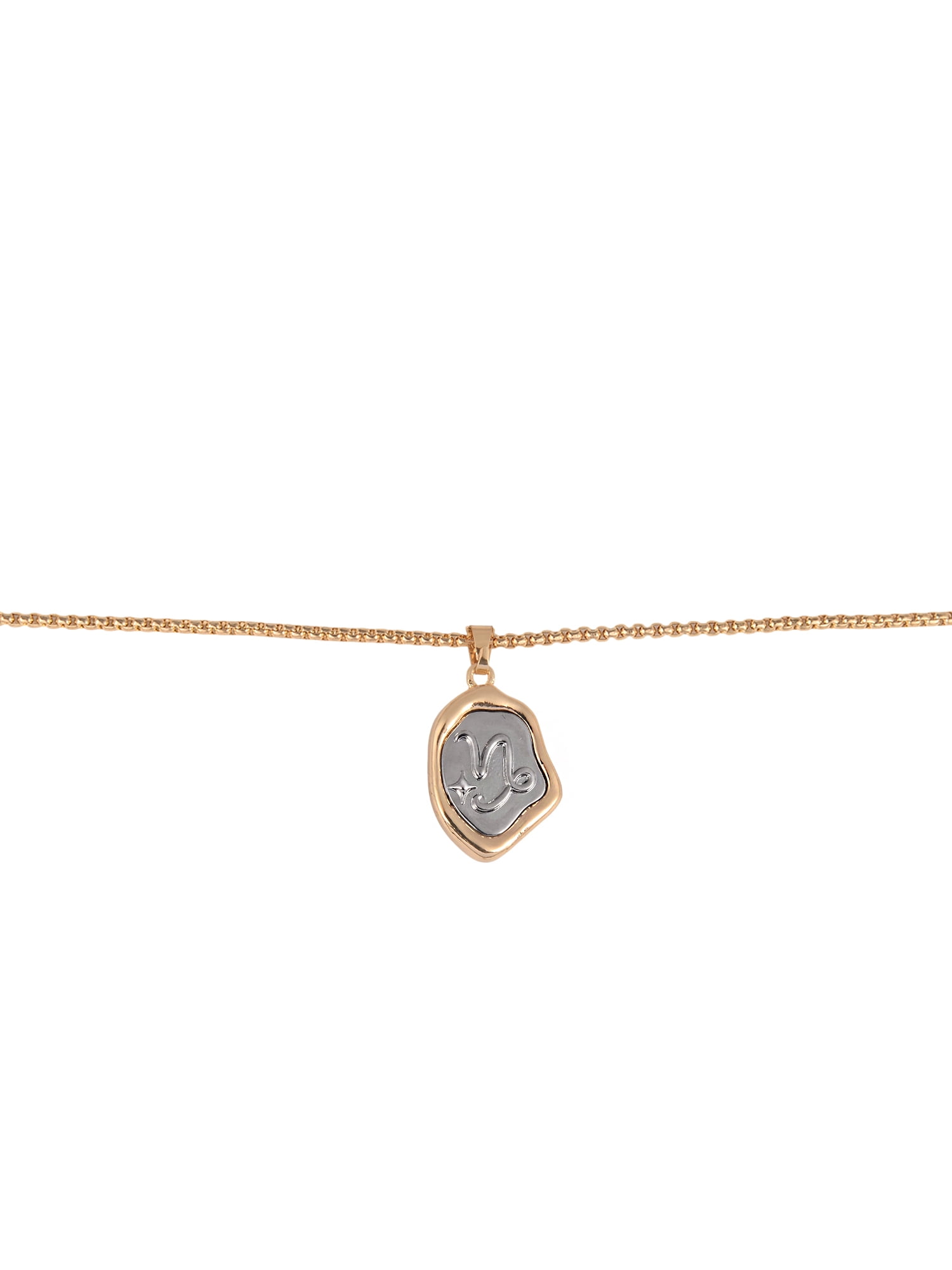 Time and Tru Goldtone Silvertone Reversible Pendant "Capricorn" Necklace