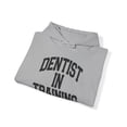 thumbnail image 4 of Dentist Dental Future School Student Hoodie, Gifts, Hooded Sweatshirt, 4 of 4