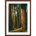 thumbnail image 2 of Art.com Sequoia Trees, California Art Print, Brown Frame Wall Art, 17" x 23", 2 of 5