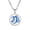 Capricorn, variant on PAURO Zodiac Sign Necklace for Men Women Couples Circle Astrology Celestial Constellation Horoscope Spirit Pendant Colorful Stainless Steel Simple Jewelry Taurus