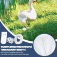 thumbnail image 2 of Disposable Duck Feet Covers with Blue Bandage for Pet Ducks - Large Size, 2 of 6