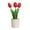 Red, variant on Artificial flower PU feel tulip creative indoor ornaments decorative bonsai
