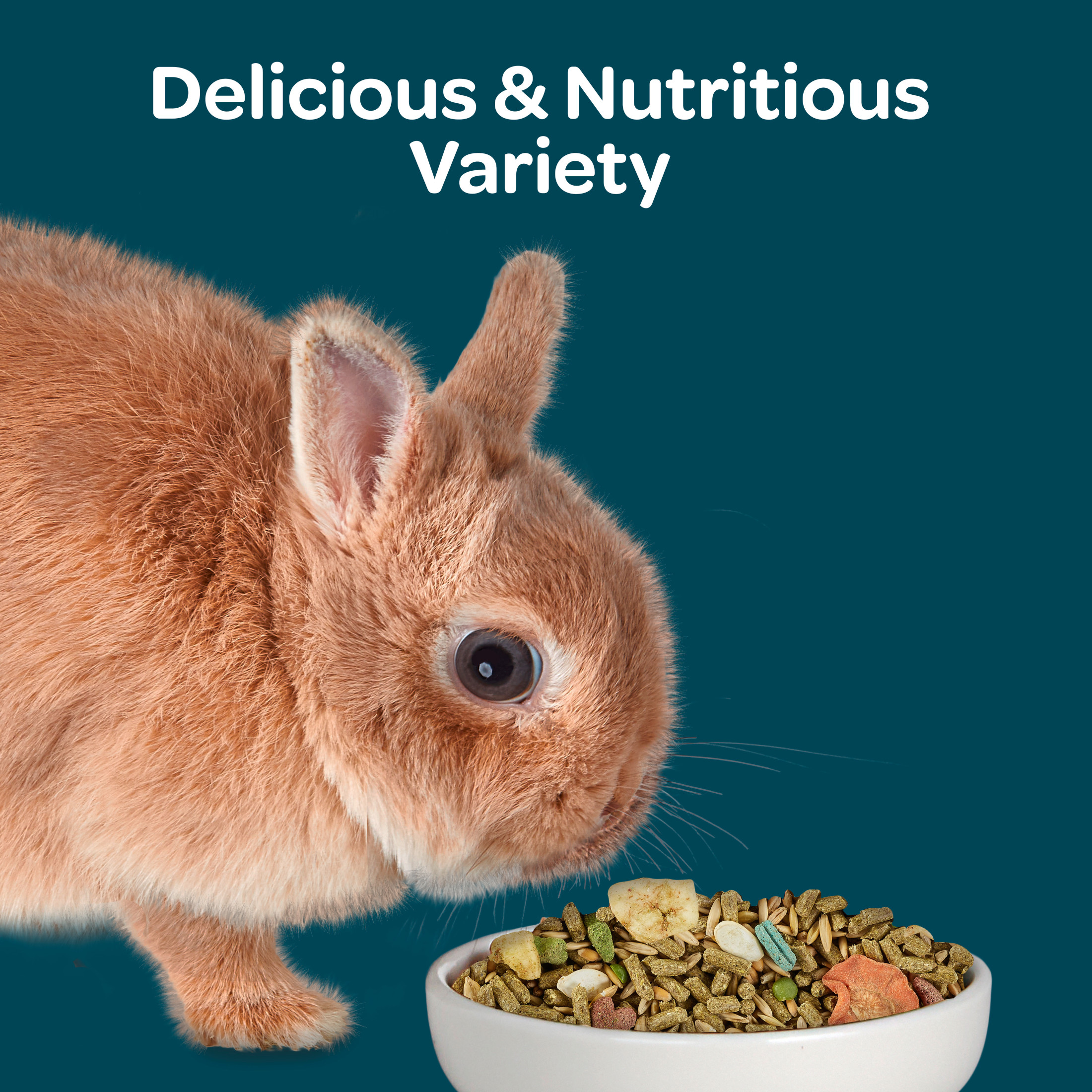 Kaytee Forti-Diet Nature's Harvest Rabbit Food, 5 lb photo 2
