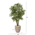 thumbnail image 2 of 50in. Parlor Palm Artificial Tree in Sand Colored Planter, 2 of 2