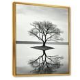 thumbnail image 2 of Designart "Photography Of Resonance In Tree Rivers" Tree Floater Framed Canvas Prints, 2 of 5