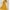 Yellow, variant on CaiJunJia Bridesmaid Dresses for Women with Sleeves Formal Evening Gowns Long Mother of The Bride Dresses