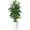 white, variant on Keeplush 5FT Artificial Dracaena Tree with White Tall Planter - High-Density Silk Faux Yucca Fake Tree for Indoor Home Office Decor, Large Tall Artificial Floor Plant (150cm/5ft)