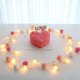 thumbnail image 4 of Guirnalda de Luces con Forma de Corazón | Luces Led Románticas de Alambre de Cobre para Decoración de Interiores y Exteriores | Funciona con 3 Pilas Aa (No Incluidas) | Iluminación para Bodas, Dormit, 4 of 6