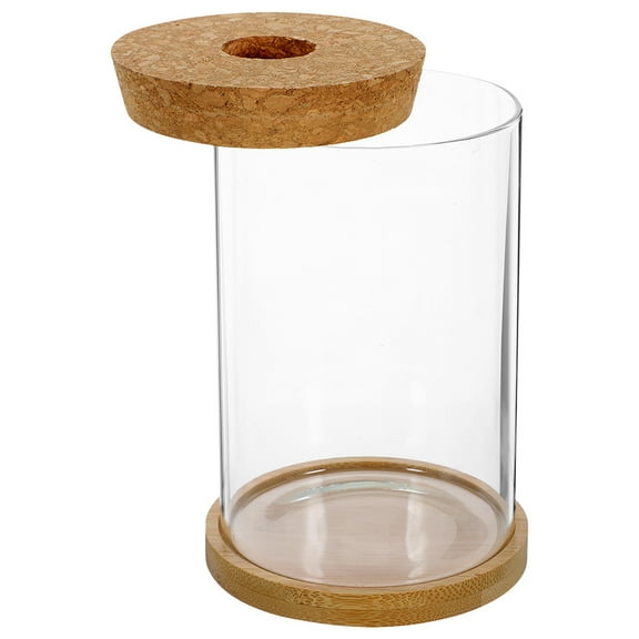 RUNROTOO 1 Set Transparent Glass Terrarium with Lid for Indoor and Outdoor Decor