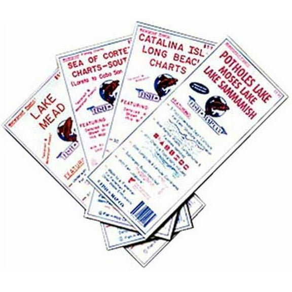 Fish-N-Map 9207 Map-Franklin D. Roosevelt