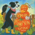 thumbnail image 2 of How to Help a Pumpkin Grow, 2 of 3
