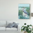 thumbnail image 3 of Trademark Fine Art 'Marsh Heron II' Canvas Art by Tim OToole, 3 of 4