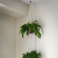 thumbnail image 3 of Uxcell Ceiling Hooks with Hardware Zinc Alloy White 34x55mm 6Pcs for Hanging Plants, 3 of 6