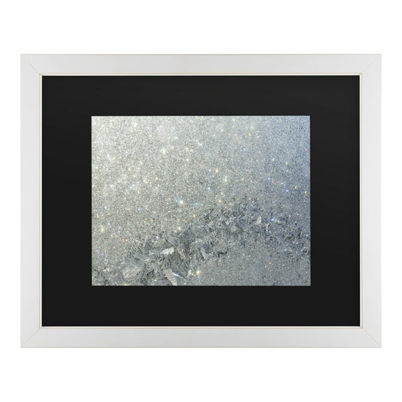 Trademark Fine Art 'Frost Pattern Sun Stars' Canvas Art by Kurt Shaffer