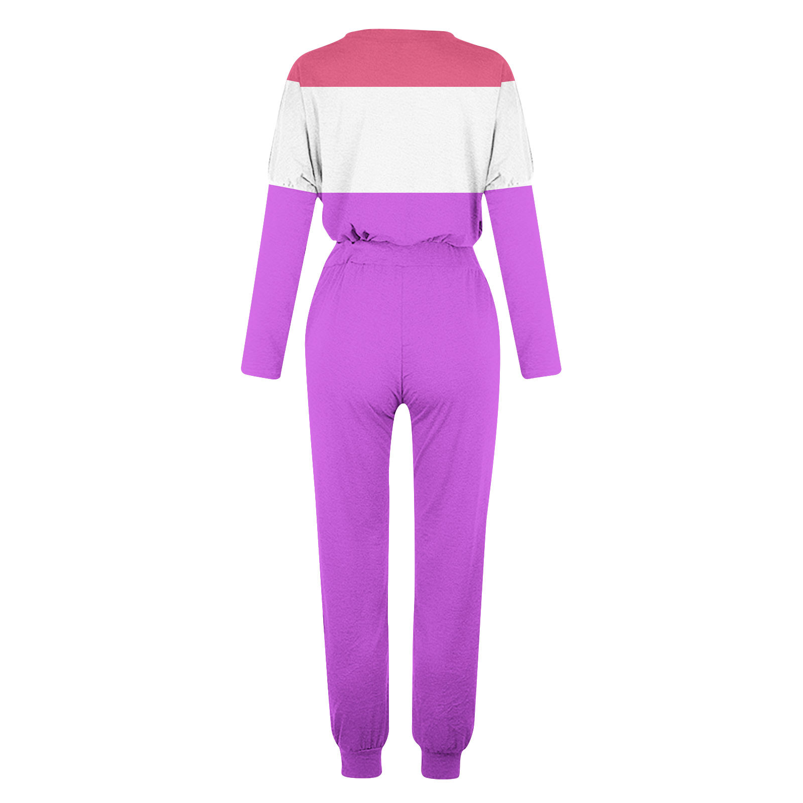 YUGYXL Women's 2 Piece Outfit Colorblock Lightweight Long Sleeve Tee Top and Jogger Pants Sets Casual Sweatsuit Tracksuit Purple XL