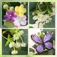 thumbnail image 5 of 1 Pack 5.84 FT Artificial Daisy Garland with 3D Butterfly, Hanging Fake Flowers Greenery Eucalyptus Garland Floral Vines for Wedding Table Home Room Spring Summer Decor, 5 of 7