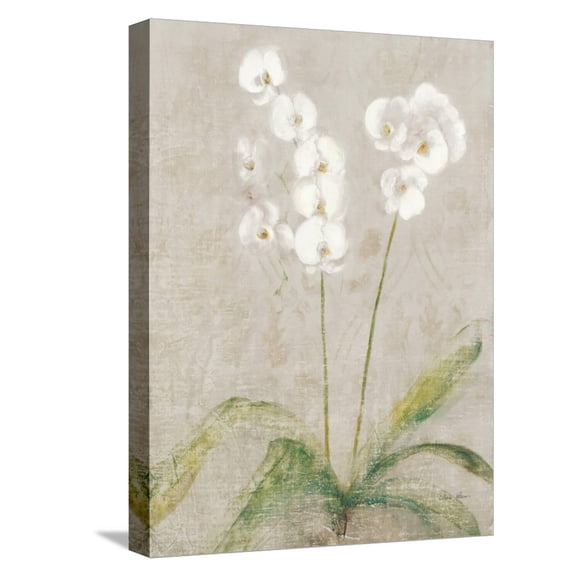 Art.com Orchid Light Stretched Canvas Print Wall Art by Cheri Blum, 12" x 16"