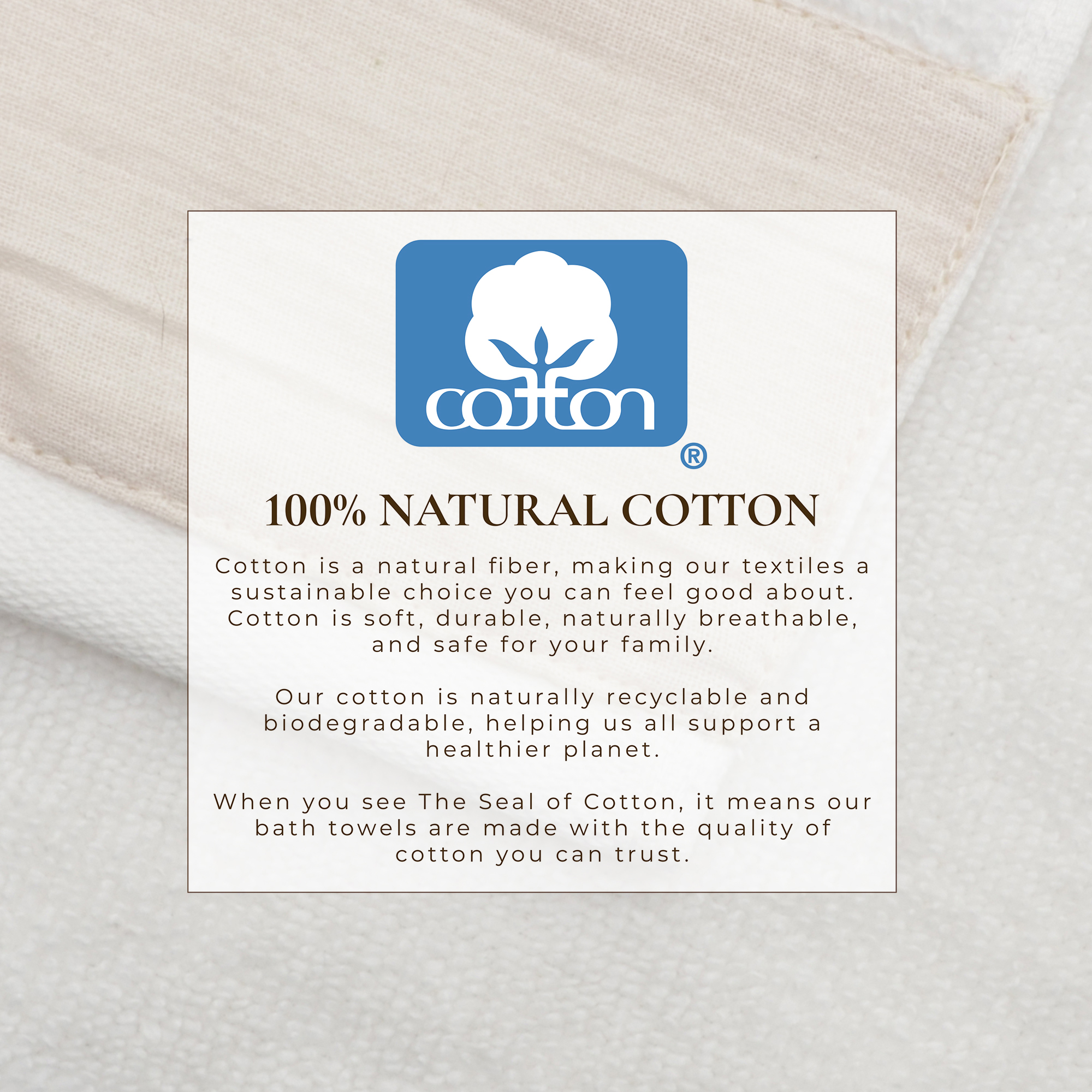 Ultra-Soft Cotton and Modern Linen-Like Border 6 Pack Hand Towel Set