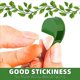 thumbnail image 2 of 60 Clips Invisibles para Plantas Trepadoras, Dispositivos de FijacióN de Plantas Autoadhesivos, 2 of 7