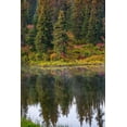 thumbnail image 2 of Sienda, Jolly 23x32 Gold Ornate Wood Framed with Double Matting Museum Art Print Titled - Homer-Alaska-autumn-fireweed, 2 of 4
