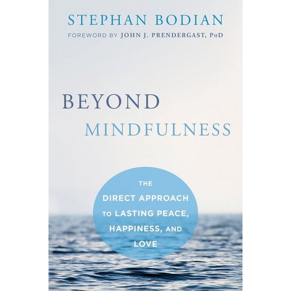 Beyond Mindfulness : The Direct Approach to Lasting Peace, Happiness, and Love (Paperback)