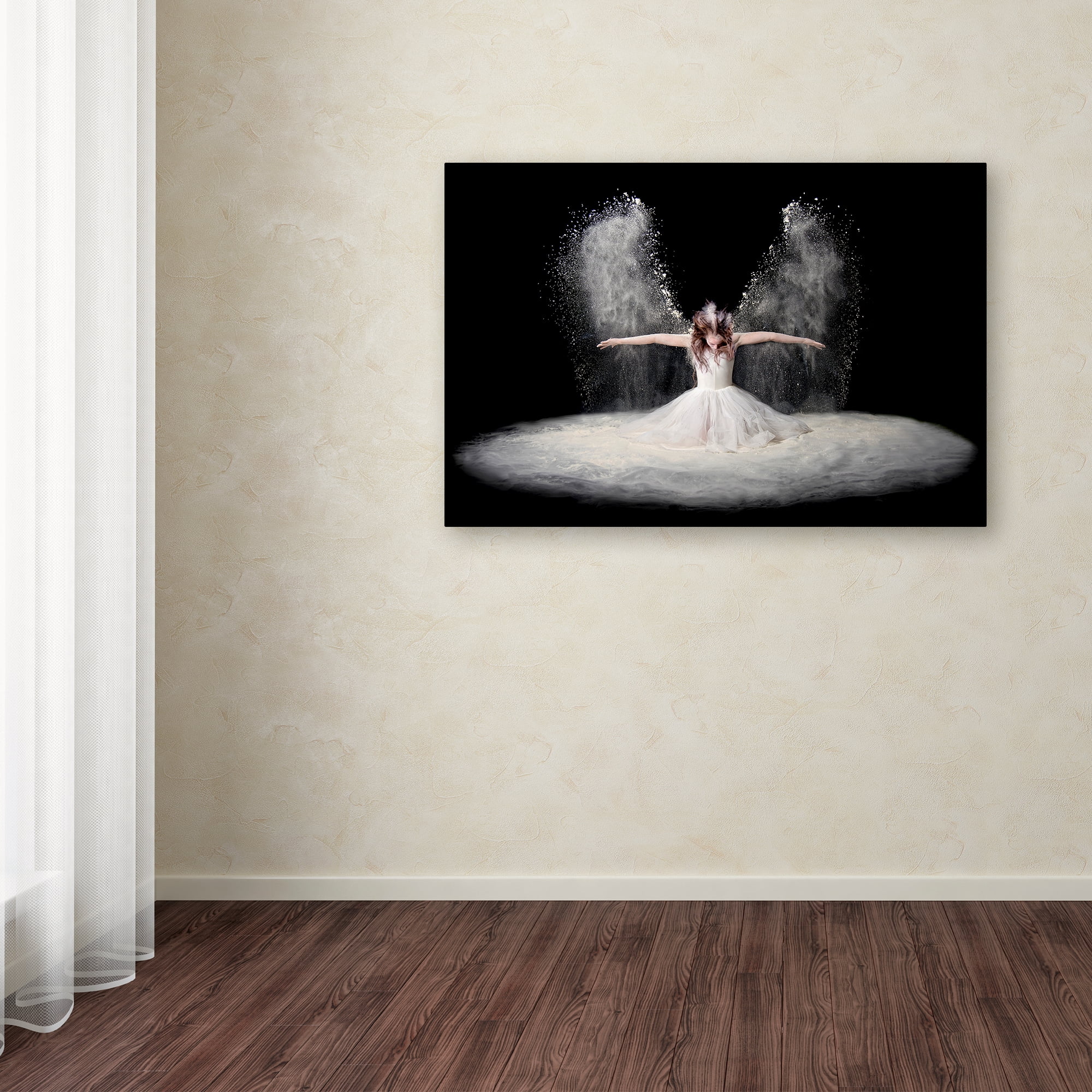 Pauline Pentony Ba 'Dust Wings' Canvas Art