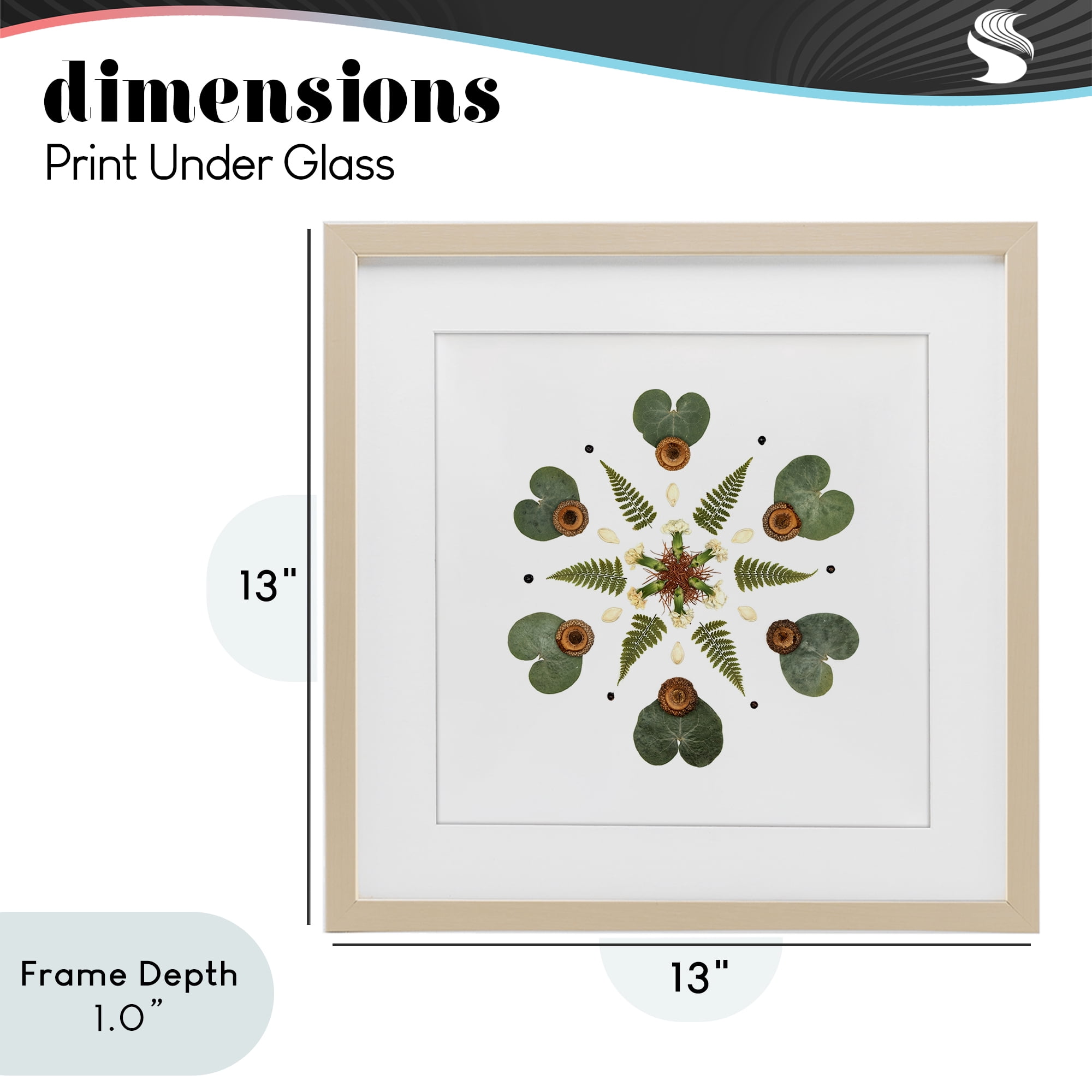 Stupell Industries Lily Pad & Fern Mandala Birch Framed Print Under Glass, design by Beth Adoette
