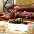 thumbnail image 3 of Rectangular Self Planter, Modern Flower Pot with r Level Indicator White, 3 of 8