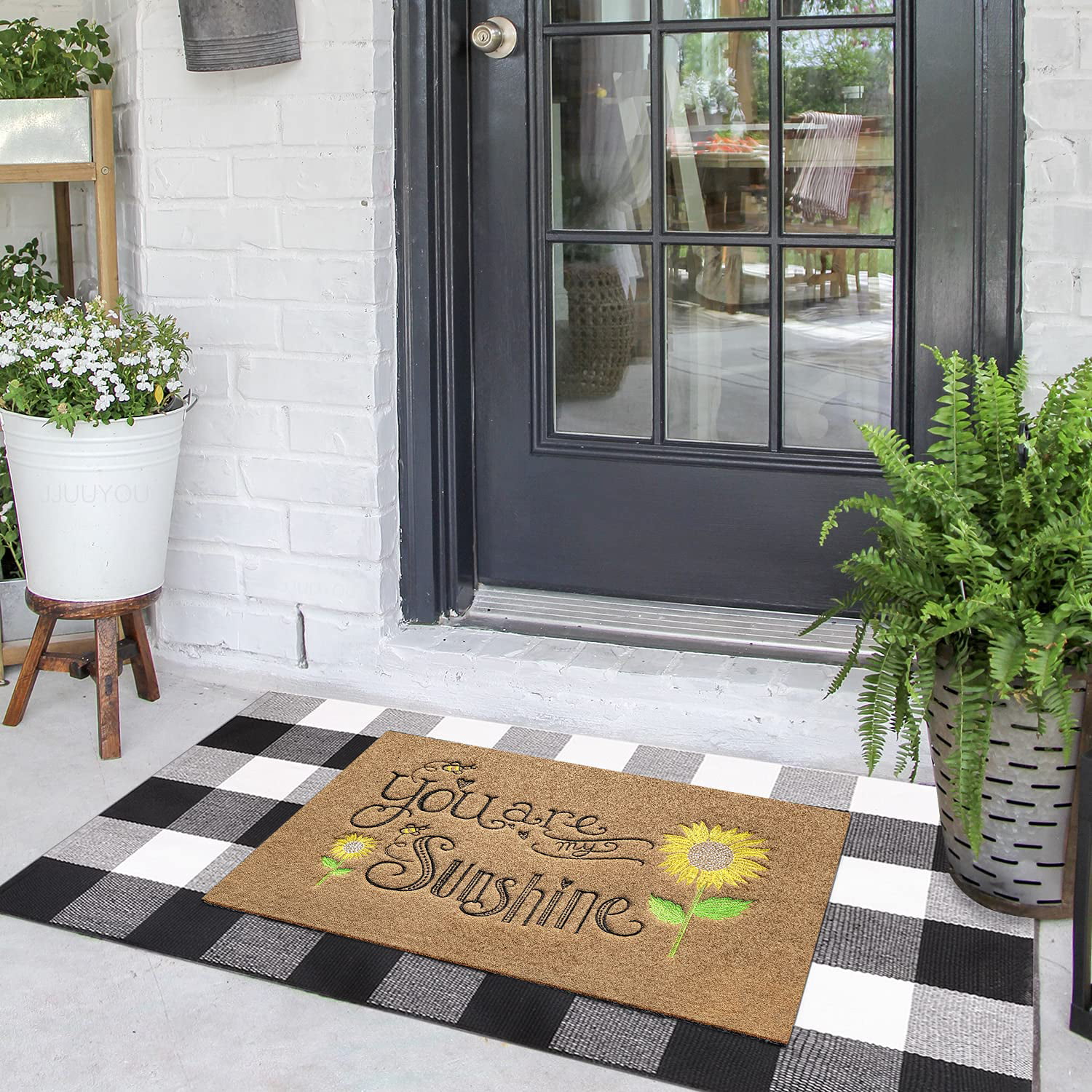  EARTHALL Funny Welcome Mats, Front Door Mat for Home Entrance,  Funny Doormat Outdoor/Indoor Entrance, Front Porch Decor for Farmhouse  48x32 : Patio, Lawn & Garden