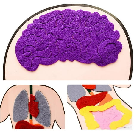 

Famure Body Parts Teaching Aids DIY Felt Craft Human Body Parts Early Education Teaching Aids Children s Educational Toys Aged Up 3