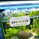 thumbnail image 2 of Aquarium Hanging Planter for Aquatic Plant Holding 2Pcs White ABS, 2 of 5