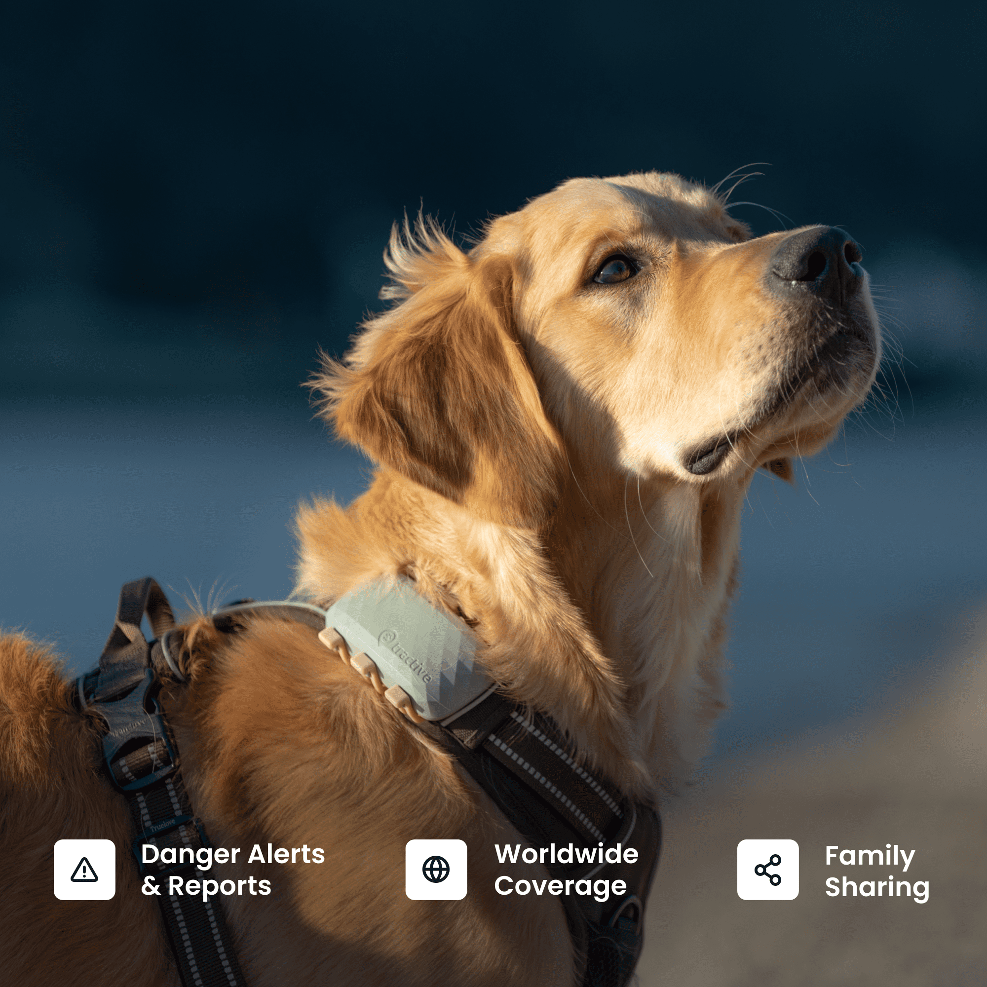 首輪・ハーネス・リード Tractive GPS Tracker for Dogs Tractive XL Smart Dog GPS Tracker with Vital Signs Monitoring