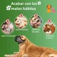 thumbnail image 3 of Reflectante Ajustable De Malla Comfort Bozal Para Perros, 3 of 8