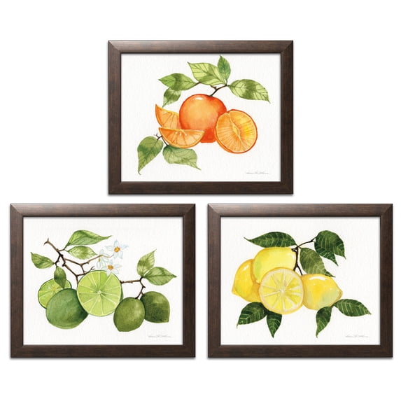 Gango Home Decor Contemporary Citrus Garden VI, VII, & VIII by Kathleen Parr McKenna (Ready to Hang); Two 14x11in Brown Framed Prints