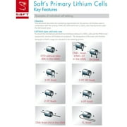 2x SAFT LS17500 Size A 3.6V 3600mAh Primary Lithium Battery for RFID, Alarms