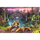 thumbnail image 2 of Rompecabezas Ravensburger Tigers in Paradise 3000 piezas, 2 of 5