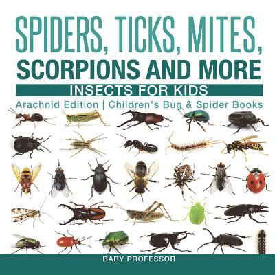 Spiders, Ticks, Mites, Scorpions and More Insects for Kids - Arachnid Edition Children's Bug & Spider