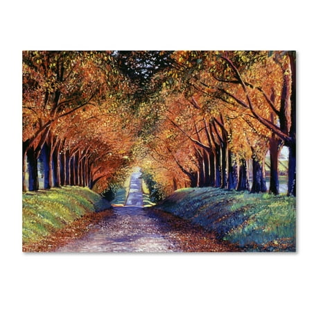 Cognac Fins - Trademark Fine Art 'Road to Cognac' Canvas Art by David Lloyd Glover