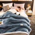 thumbnail image 5 of JOLUSERE Plush Sherpa Bed Blanket,60"x80"Reversible Throw Blanket for Bed Couch,Soft Blanket for Adults All Season,Blue, 5 of 9