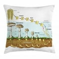 thumbnail image 1 of Biology Throw Pillow Cushion Cover, Life Cycle of Mushrooms Theme Different Stages Nature Science Educational Design, Decorative Square Accent Pillow Case, 18" X 18", Multicolor, by Ambesonne, 1 of 2