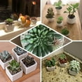 thumbnail image 5 of Efavormart Set of 3 | 8” Assorted Spiky Crassula Artificial Faux Succulent Mini Green Plants in Cement Pot, 5 of 11
