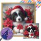 thumbnail image 1 of 5D DIY Taladro Cuadrado AB Parcial Kit Perro Navidad 45x45cm, 1 of 9