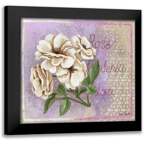 Budd, Tiffany 20x20 Black Modern Framed Museum Art Print Titled - Gardenia