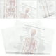 thumbnail image 5 of Estructura esquelética Anatomía Cartel Decorativo Anatomía Cartel Cartel creativo, 5 of 5