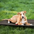 thumbnail image 3 of Veehoo Cooling Elevated Dog Bed, Portable Raised Pet Cot with Washable Mesh, Large, Brown, 3 of 9